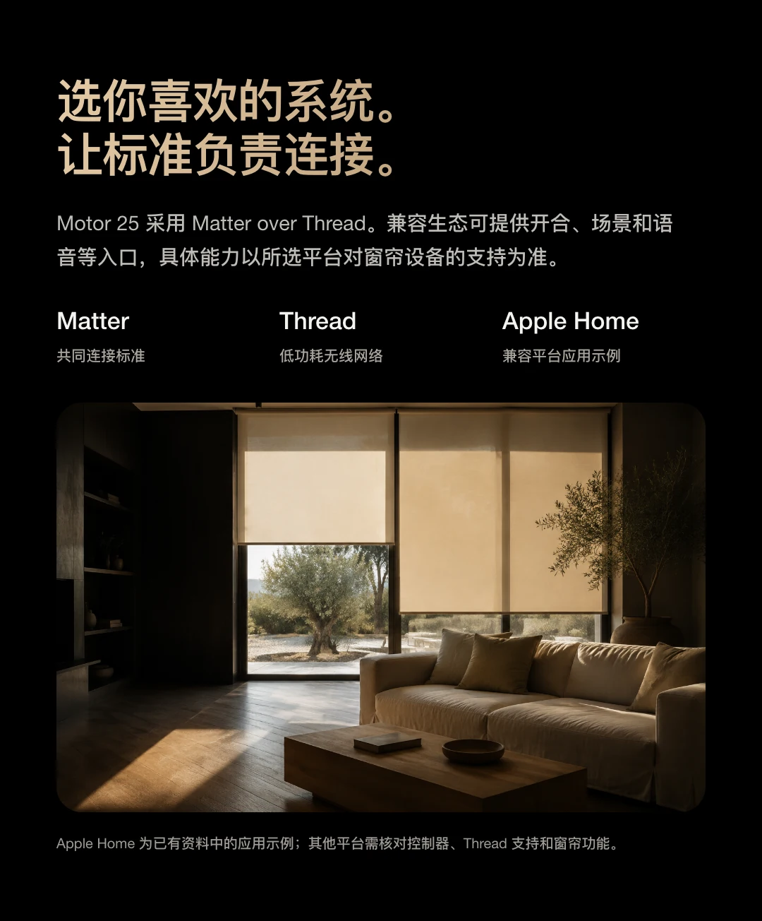 JINK 智能卷帘电机 25 中文产品资料,第 10 部分