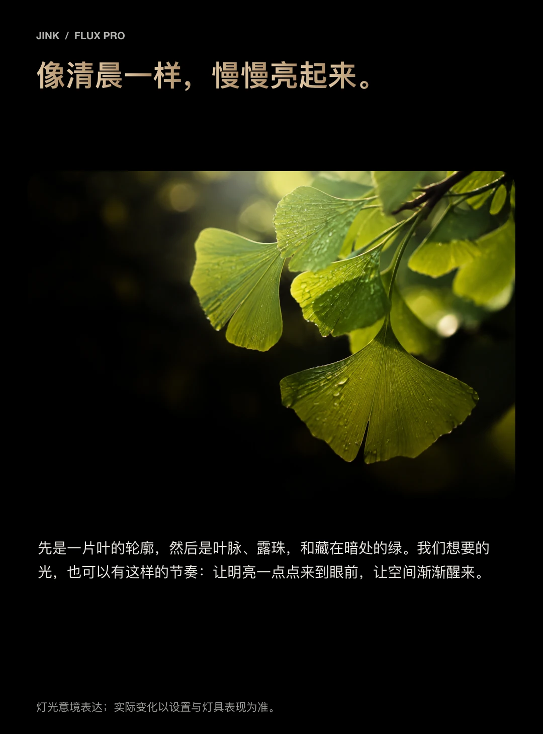 JINK 智能照明驱动 Flux Pro 中文产品资料,第 16 部分