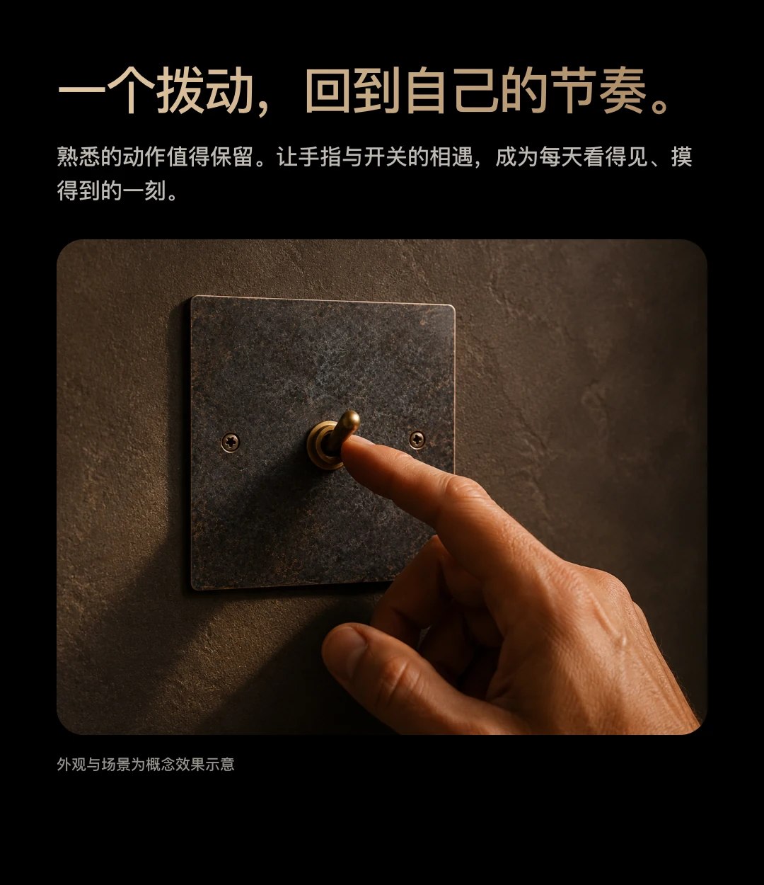 JINK 纯铜拨杆开关 PATINA 中文产品详情,第 13 部分