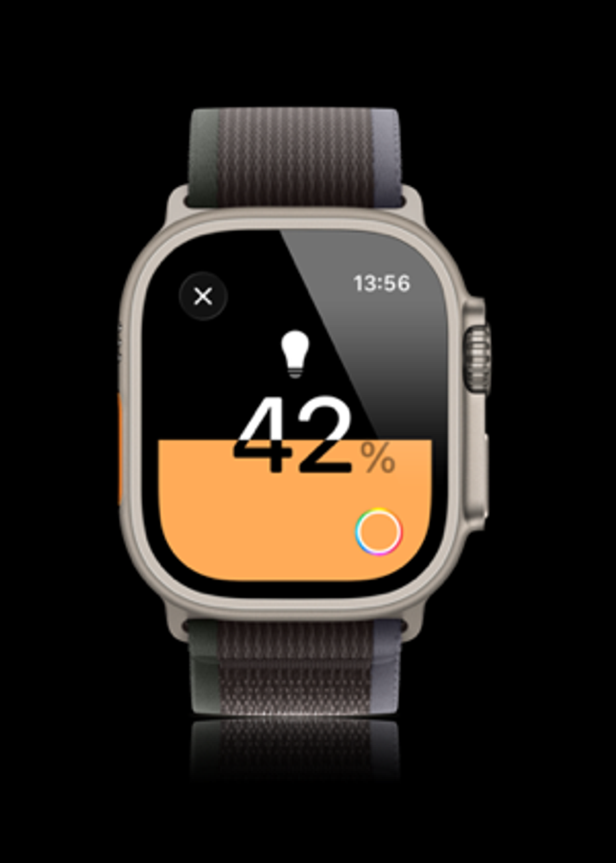 Apple Watch 完整调光界面与表体,显示亮度 42%