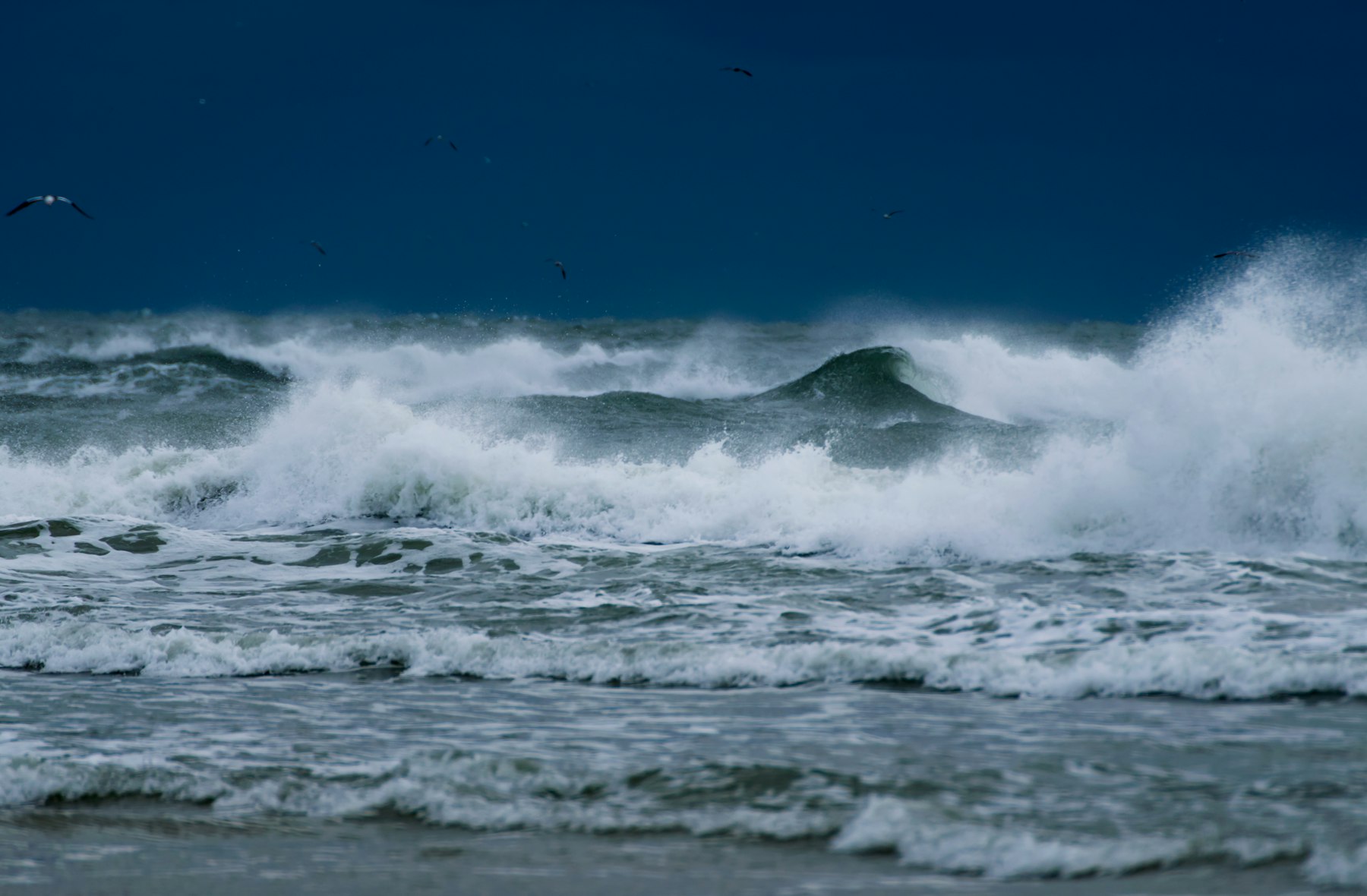A real ocean surface and distant coastline