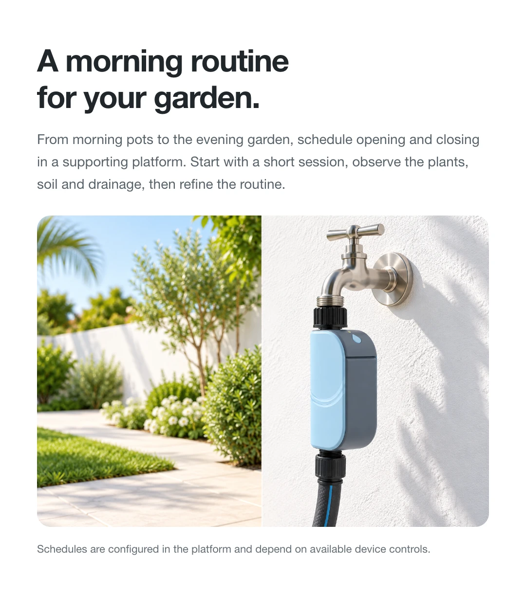 A morning routine for your garden.