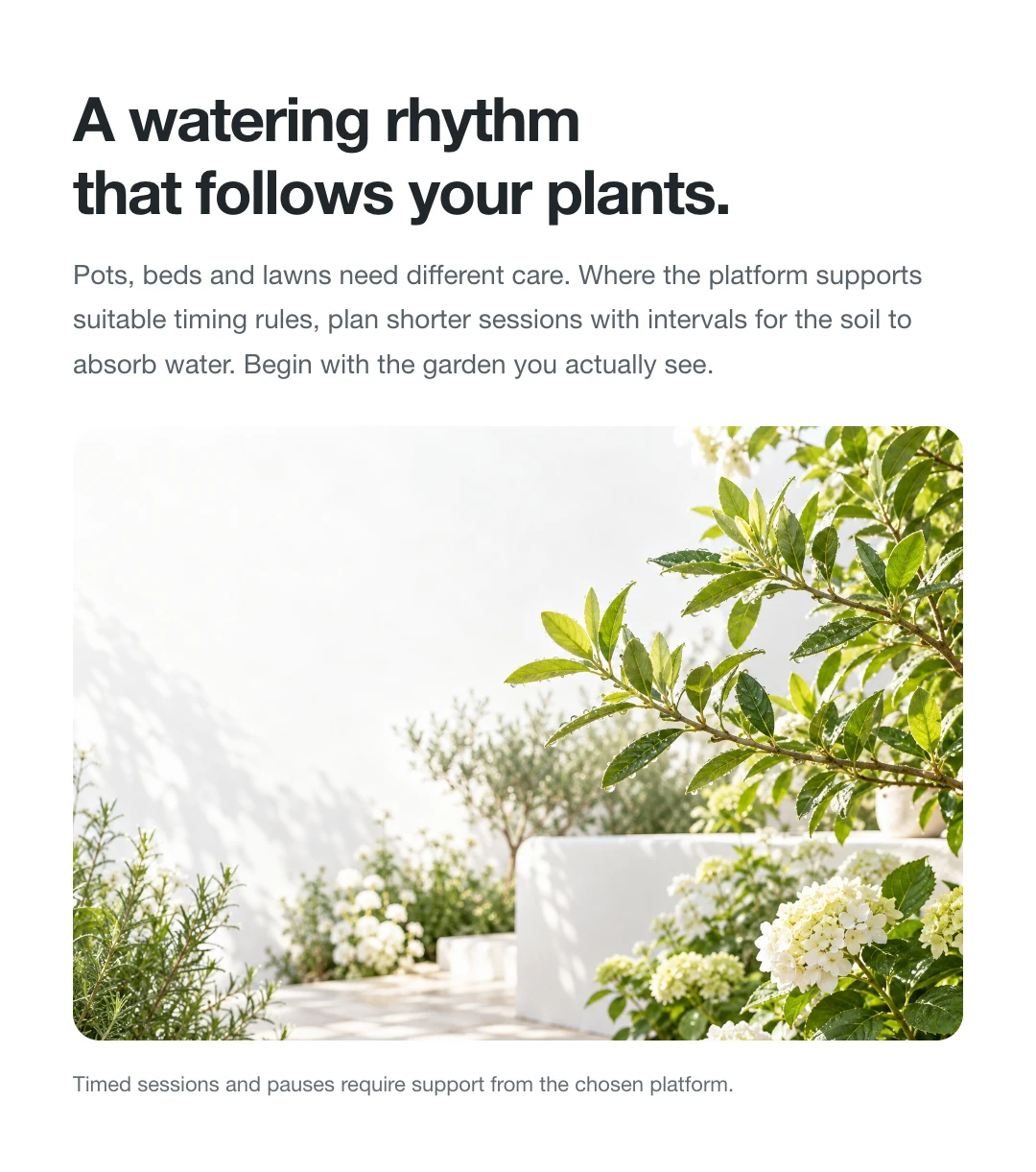 A watering rhythm that follows your plants.