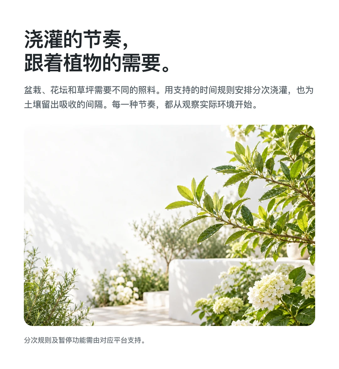 浇灌的节奏， 跟着植物的需要。